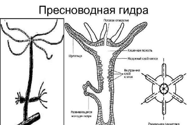 Mega sb зеркало сайта